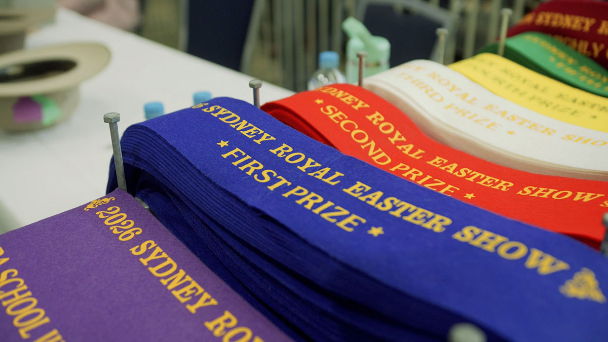 SRES_Save-the-date-Image