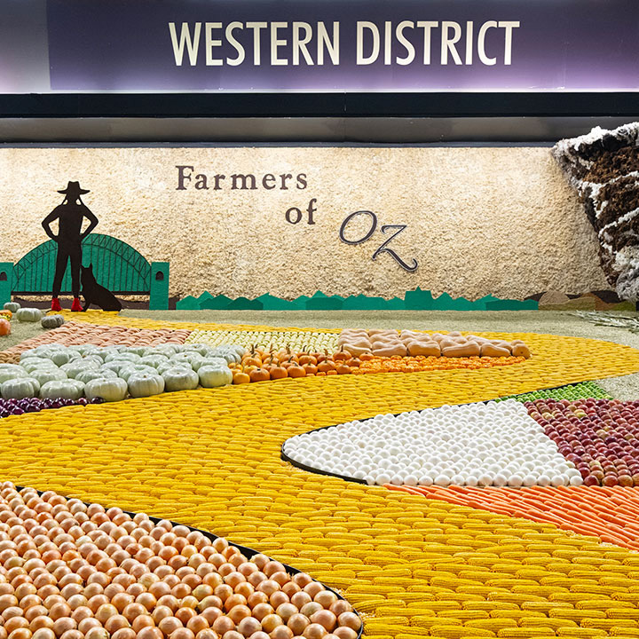 The Story of the District Exhibits: Heart of the Show